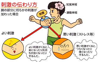 ご存知ですか?スパイラルテーピングについて